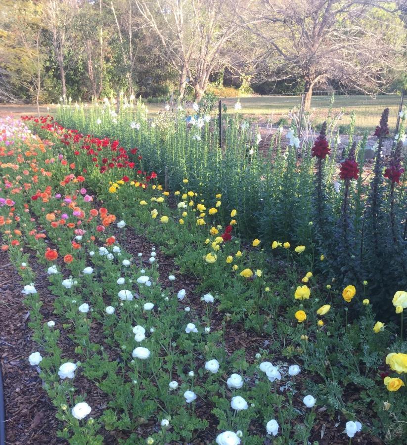 Flower Farm Tamborine Mountain Mount Tamborine Exterior photo