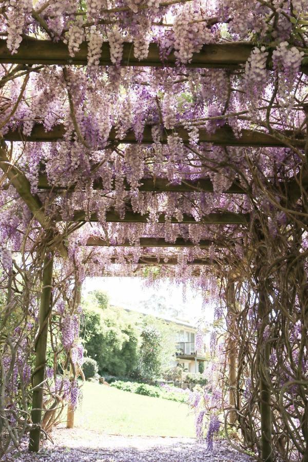 Flower Farm Tamborine Mountain Mount Tamborine Exterior photo